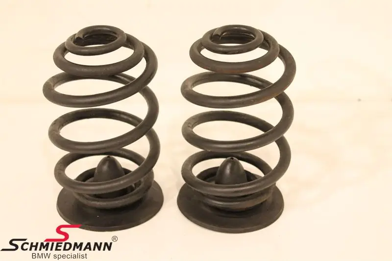 Springs standard rear - Extra-alennus